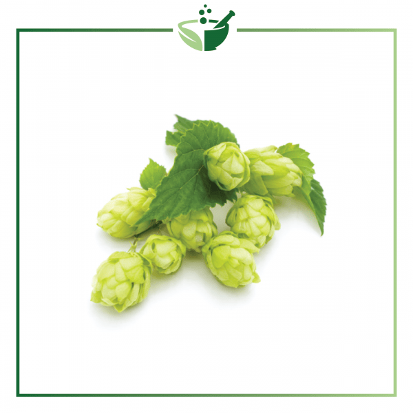Humulus Lupus Powder-01